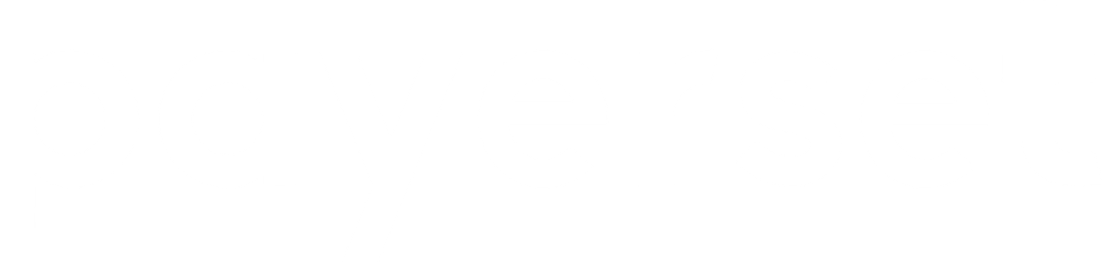 Payerset Reversed logo