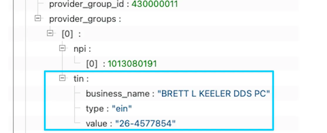 Business organization name in payer MRF
