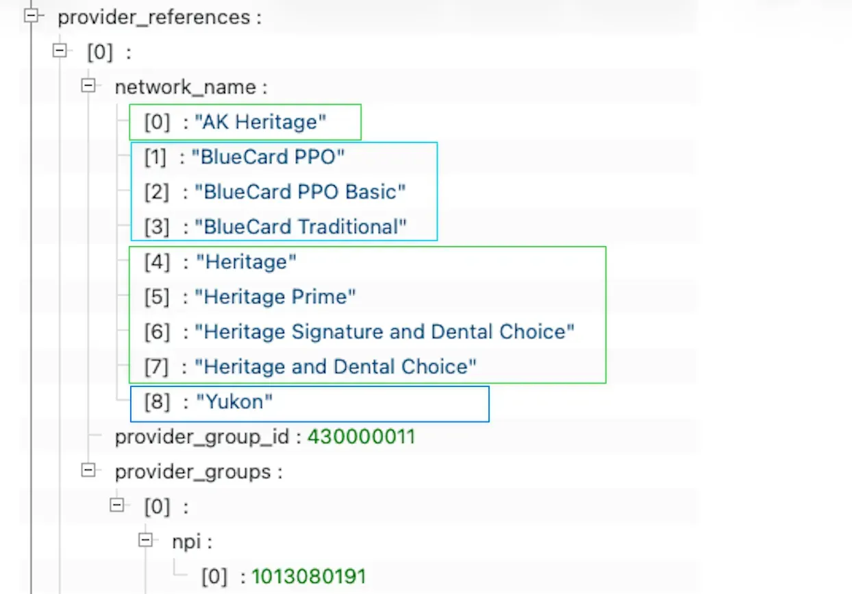 Network name in payer MRF